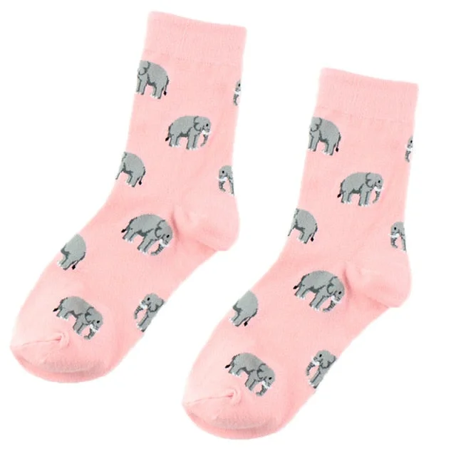 Cute animal knitted socks by Style's Bug (2 pairs pack)